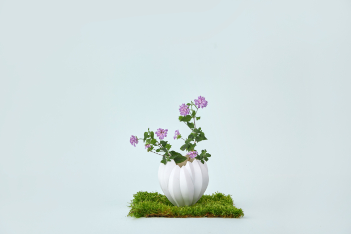 大館首個戶外花藝市集 - In Bloom 花見大館